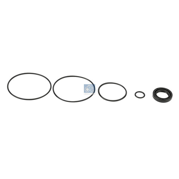 Repair kit, servo pump 4.90309 DIESEL TECHNIC